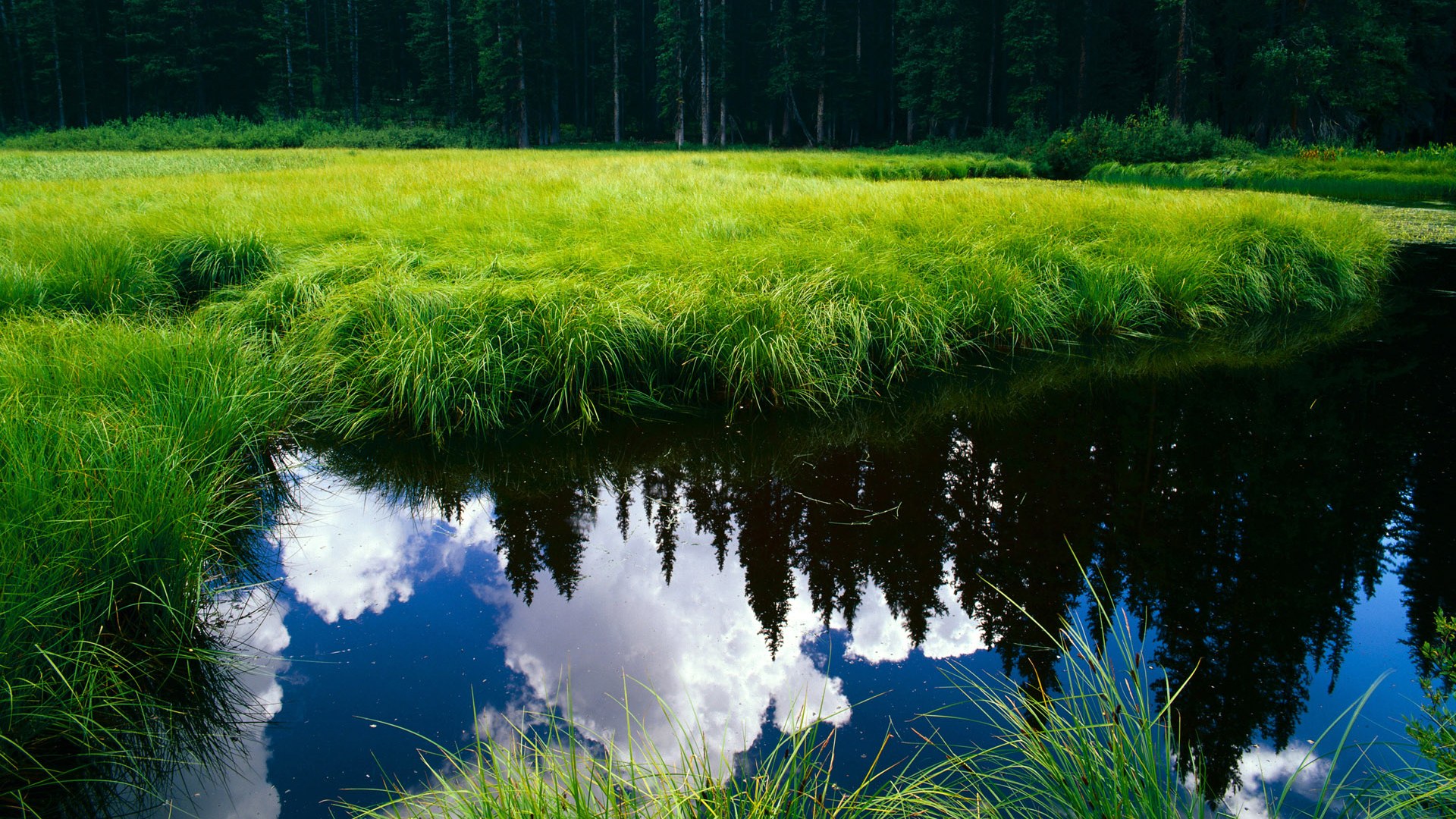 爱游戏智能体验-CBA新季球迷互动活动全面升级，现场氛围火热，cba球迷入场观赛